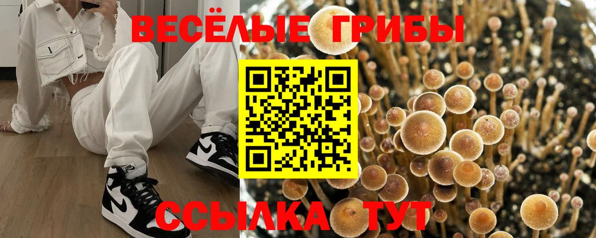 Псилоцибиновые грибы прущие грибы  Вход с VPN  Псилоцибиновые грибы MAGIC MUSHROOMS  Миллерово 